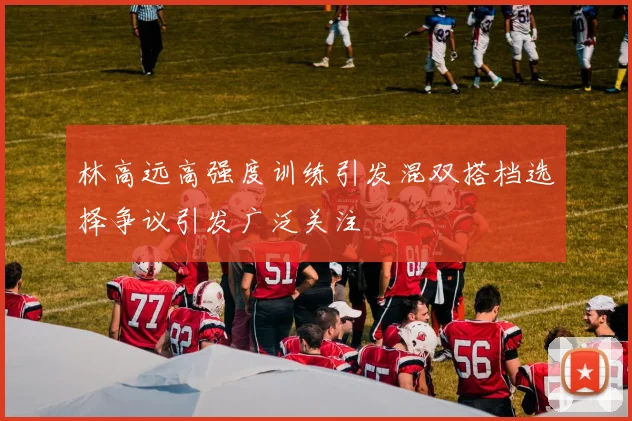 林高远高强度训练引发混双搭档选择争议引发广泛关注